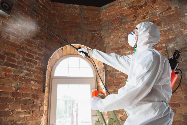 Best Environmental Consulting for Mold Prevention  in Grandview, OH